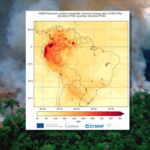 Flames across South America: the record-breaking fire season unfolds