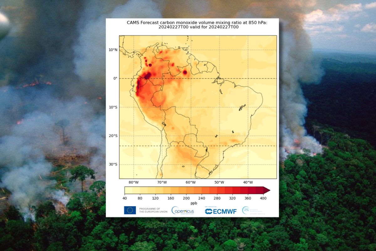 Flames across South America: the record-breaking fire season unfolds