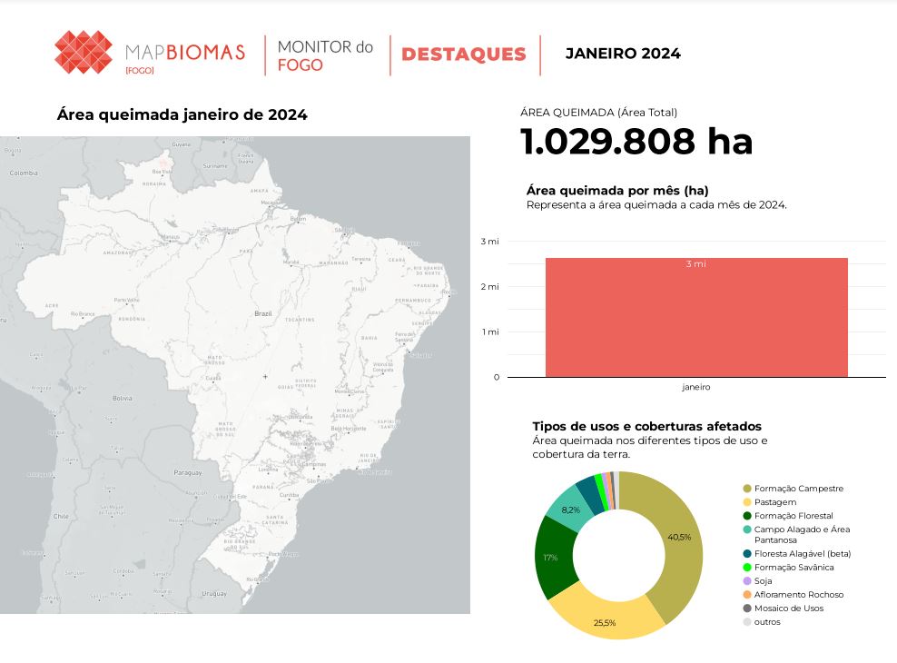 Fire in Brazil january 2024