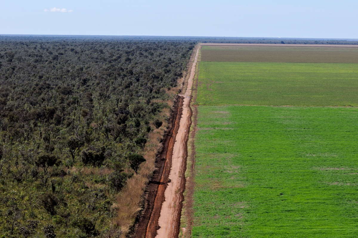 Amazon's critical role in carbon capture and the threat posed by its reduced capacity due to deforestation