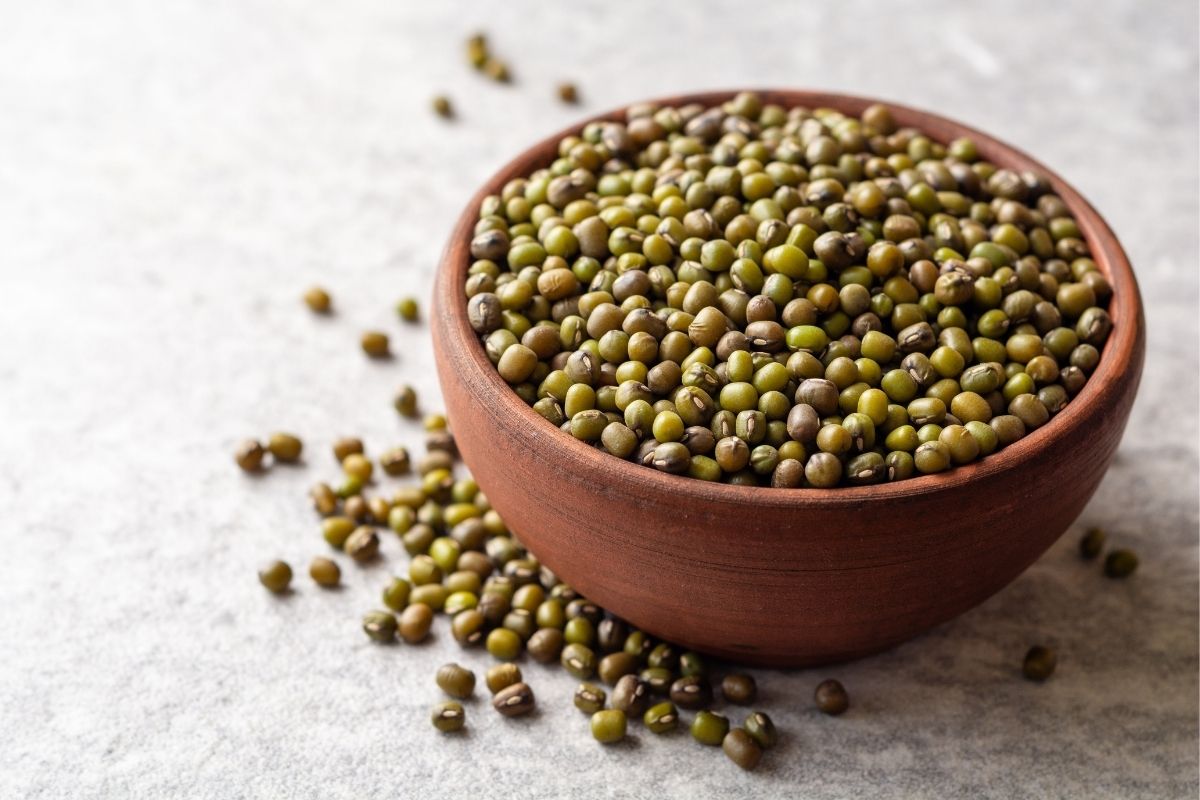 plant proteins contribute to longevity and disease prevention