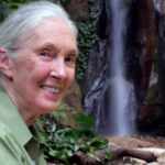 Happy 90yrs Jane Goodall