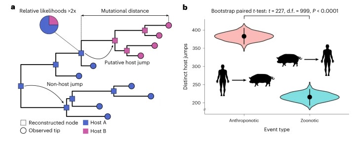 study reveals humans' role in spreading infectious diseases to wildlife