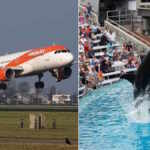 EasyJet bans camel rides, marine shows in new animal welfare initiative