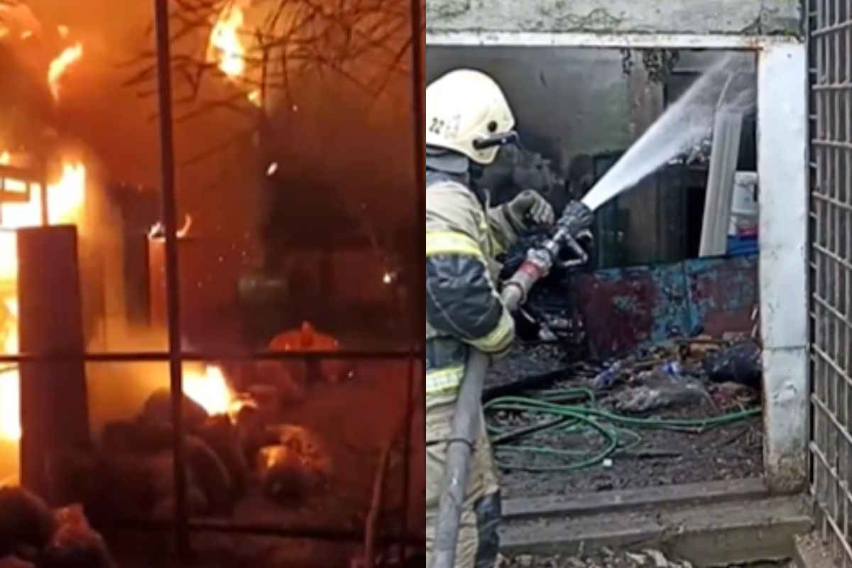 fatal zoo fire in crimea