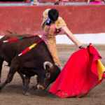 Stop bullfighting in Bilbao - Spain