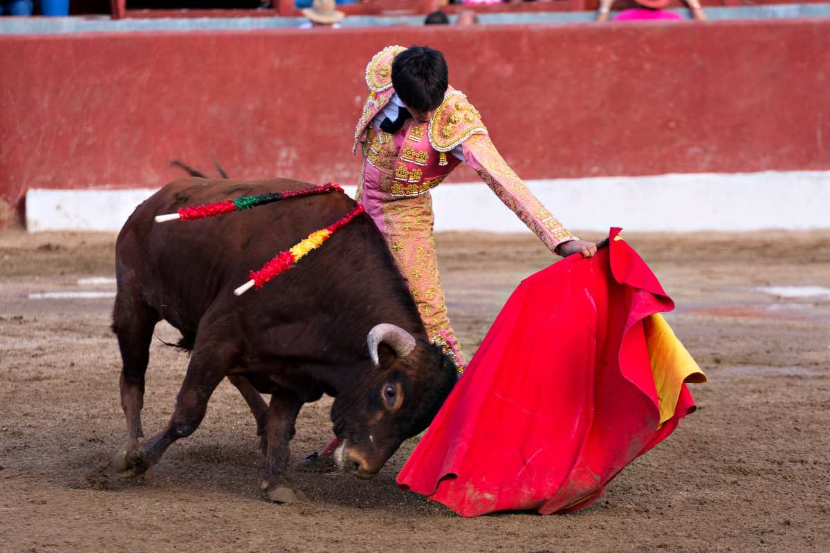 Stop bullfighting in Bilbao - Spain