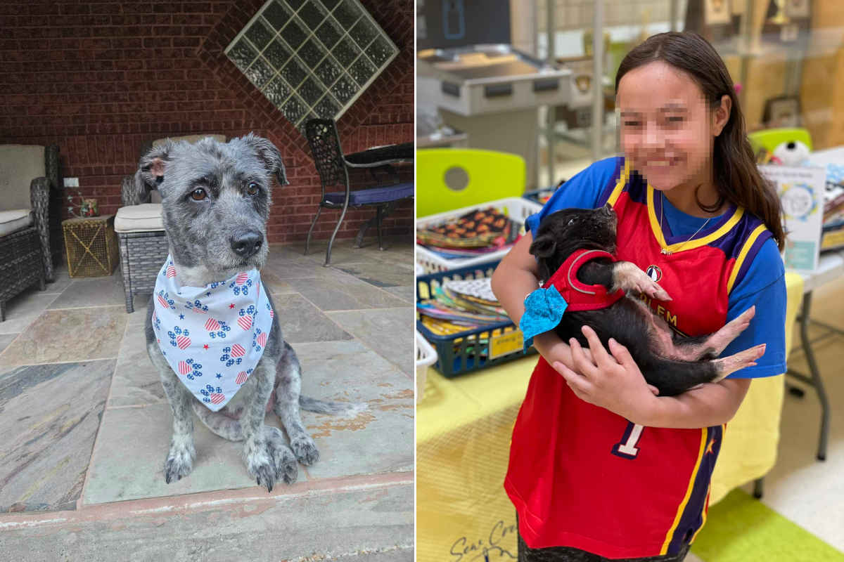 Malia sewing bandanas for abandoned animals