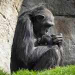 natalia's story at biopark valencia