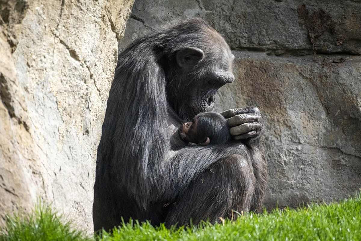 natalia's story at biopark valencia