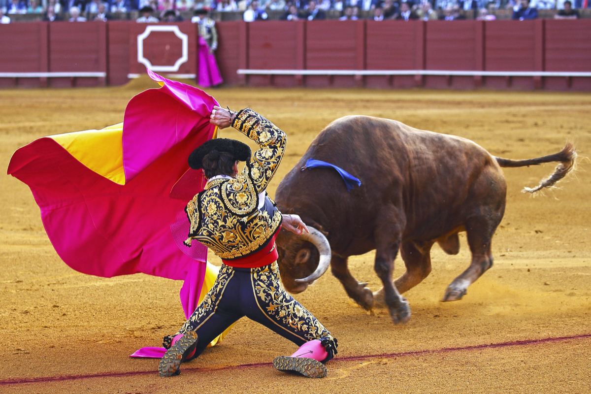 Stop bullfighting in Bilbao - Spain