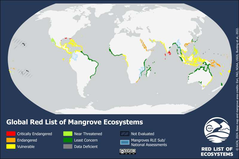 mangroves in the world