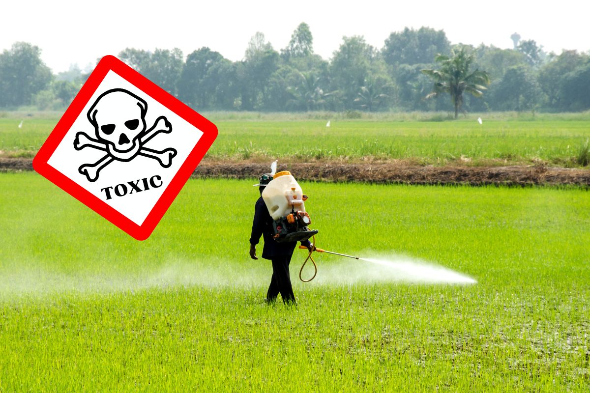 toxic pesticides