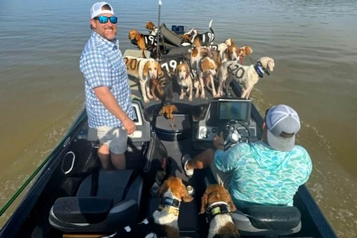 38 rescued dogs in the mississipi river