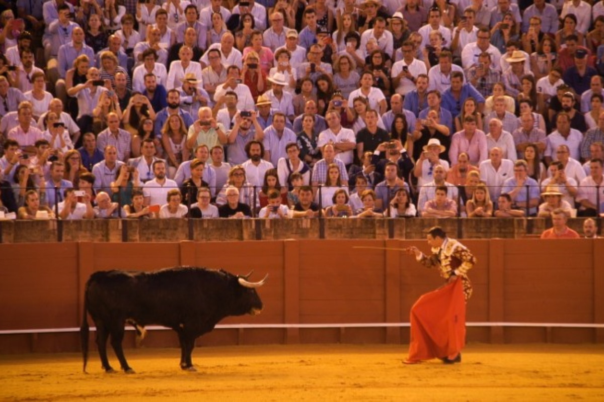 colombia bans bullfighting