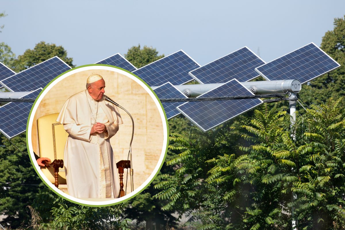 solar park to meet vatican's energy needs