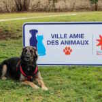 animal welfare initiatives in France