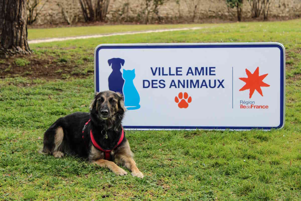 animal welfare initiatives in France