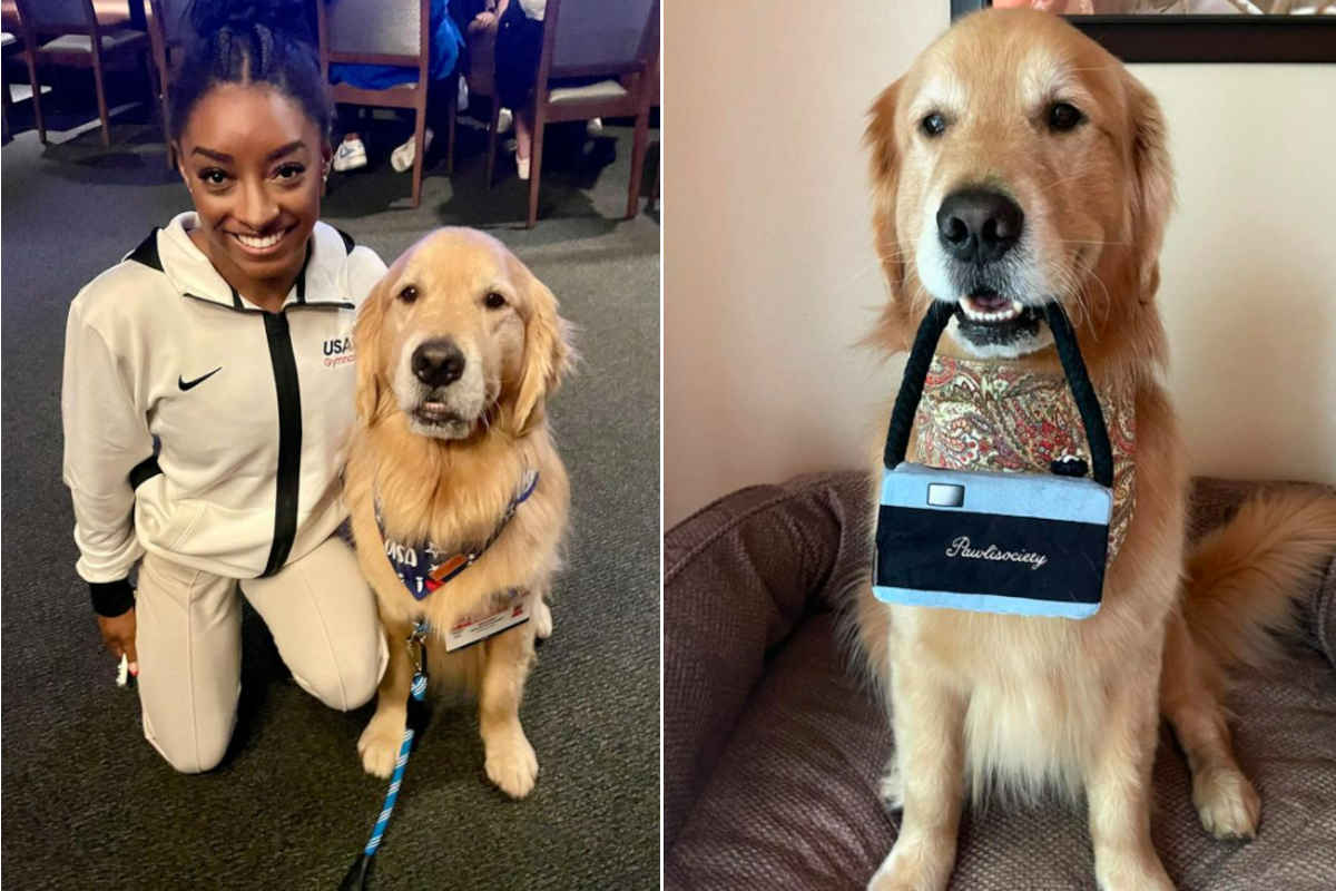 Beacon the therapy dog, on olympic athletes