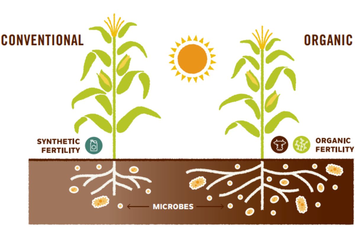 Biological agriculture vs conventional