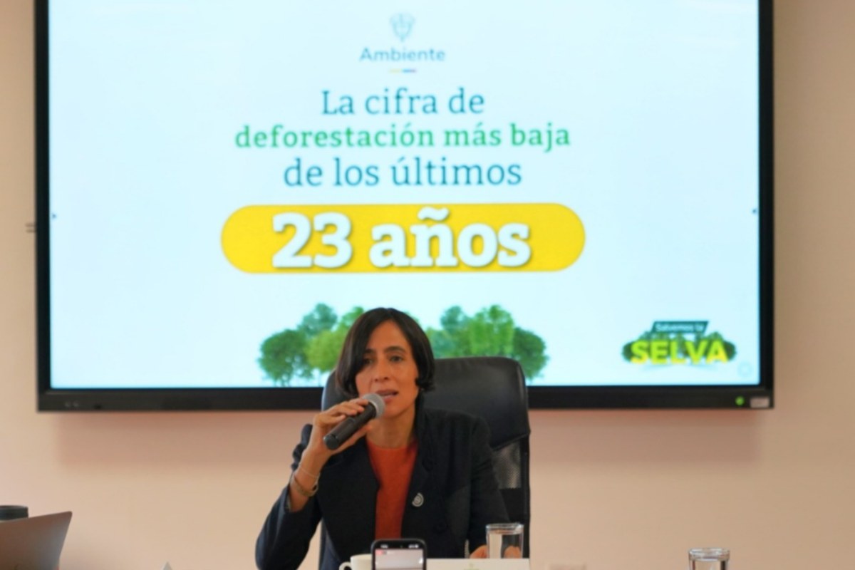 colombia makes significant strides in reducing deforestation