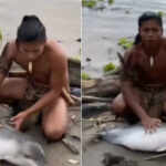 A little dolphin found dead in the Amazon