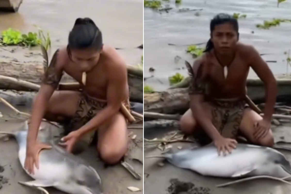 A little dolphin found dead in the Amazon