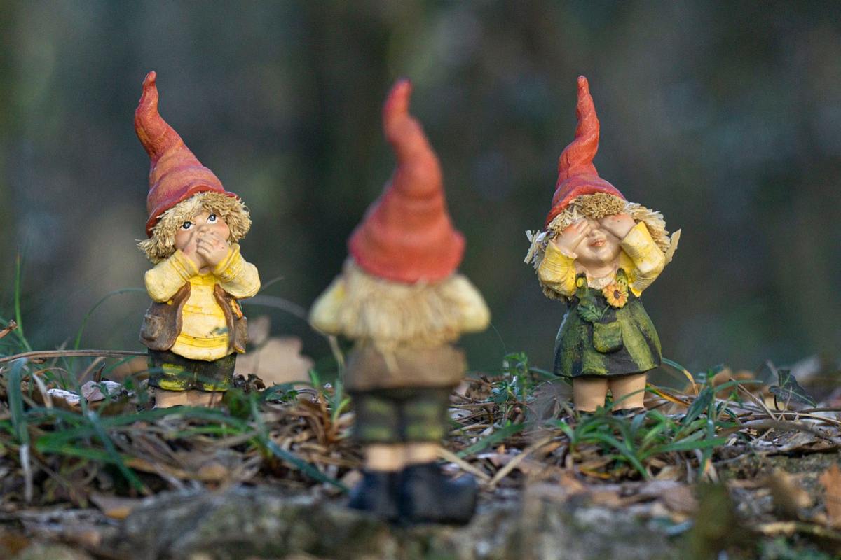 the gnome restoration society