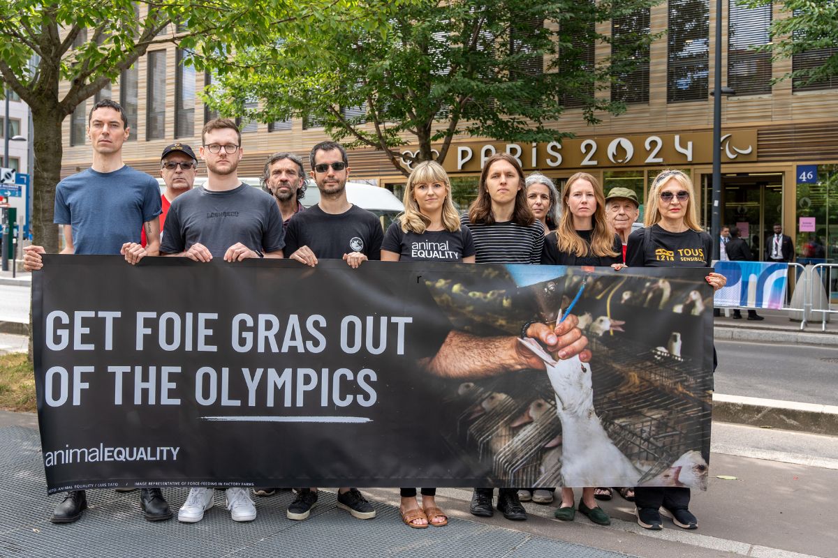 Protesters Paris 2024 Olympics