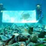 thousands of champagne bottles found in Mallorca's seabed