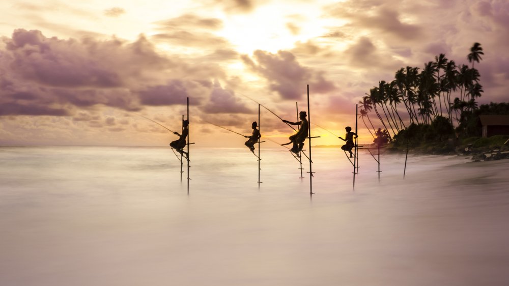 Traditional stilt fishermen try their luck at sunset in Koggala, Sri Lanka. This is a single take at 10s shutter speed with an ND filter for that dreamy water texture. I couldn't go much longer than that though, to prevent blurriness of the fishermen, who thankfully stayed still long enough.