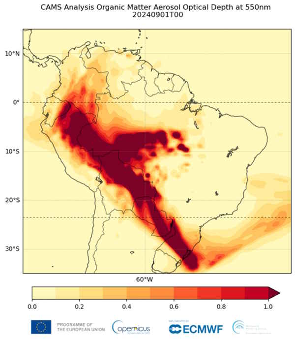 Fires in the Amazon