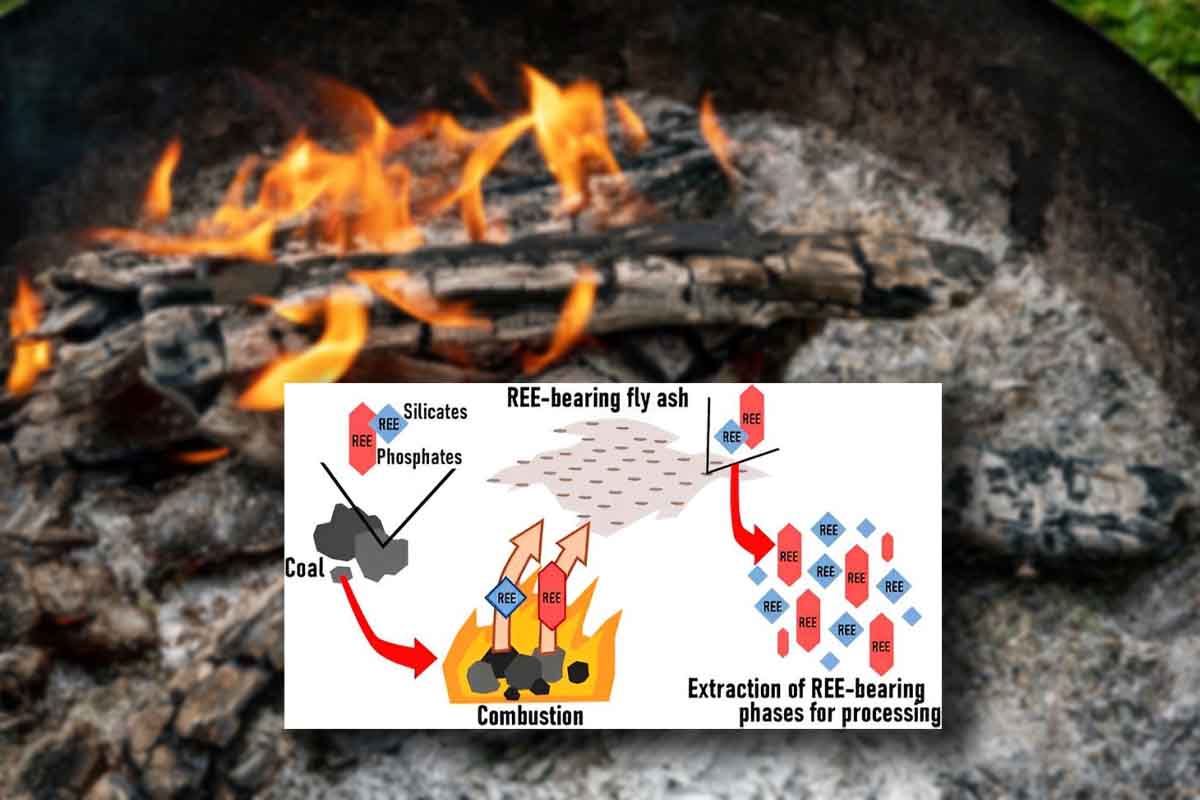 Rare earths from coal