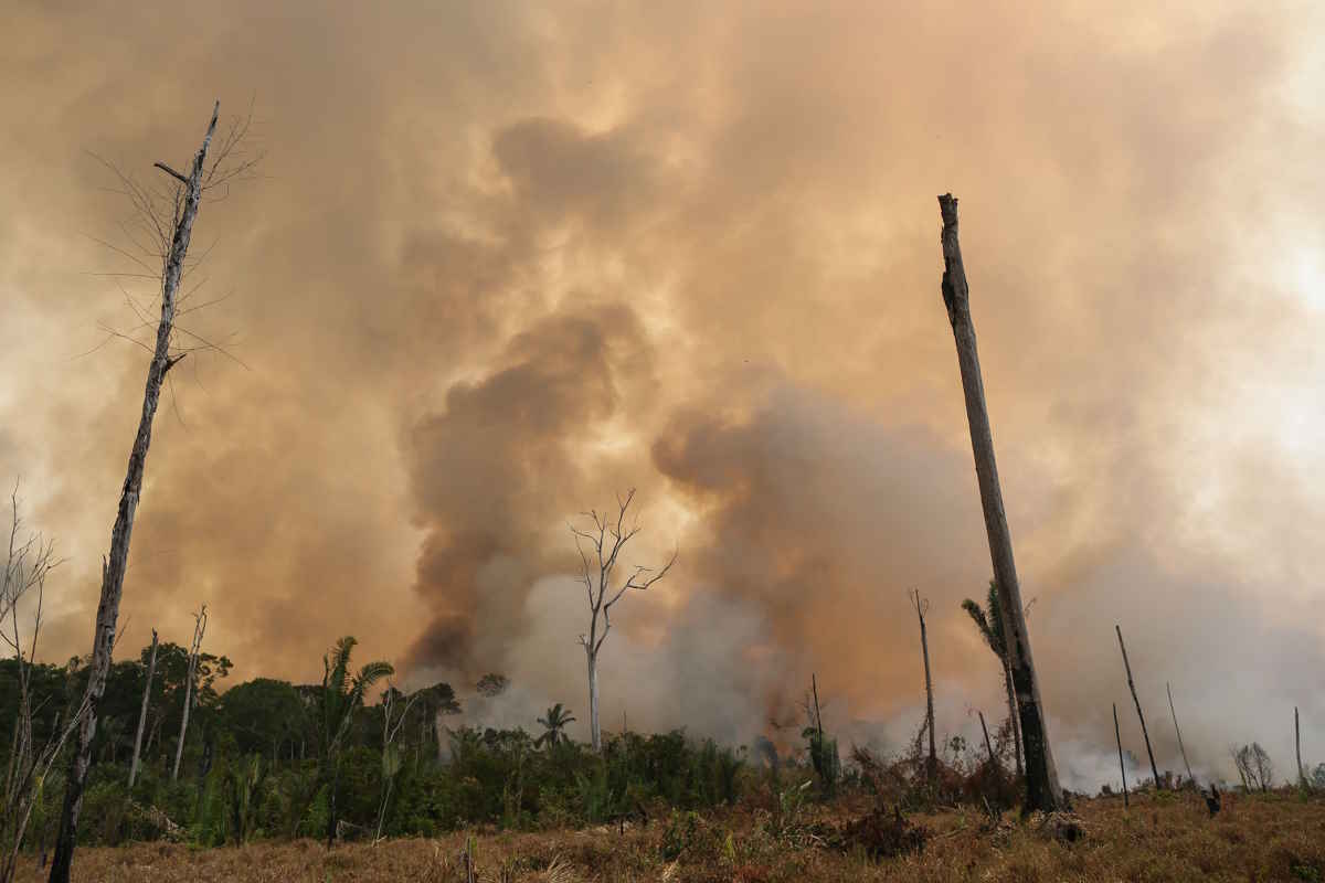 fires in the Amazon