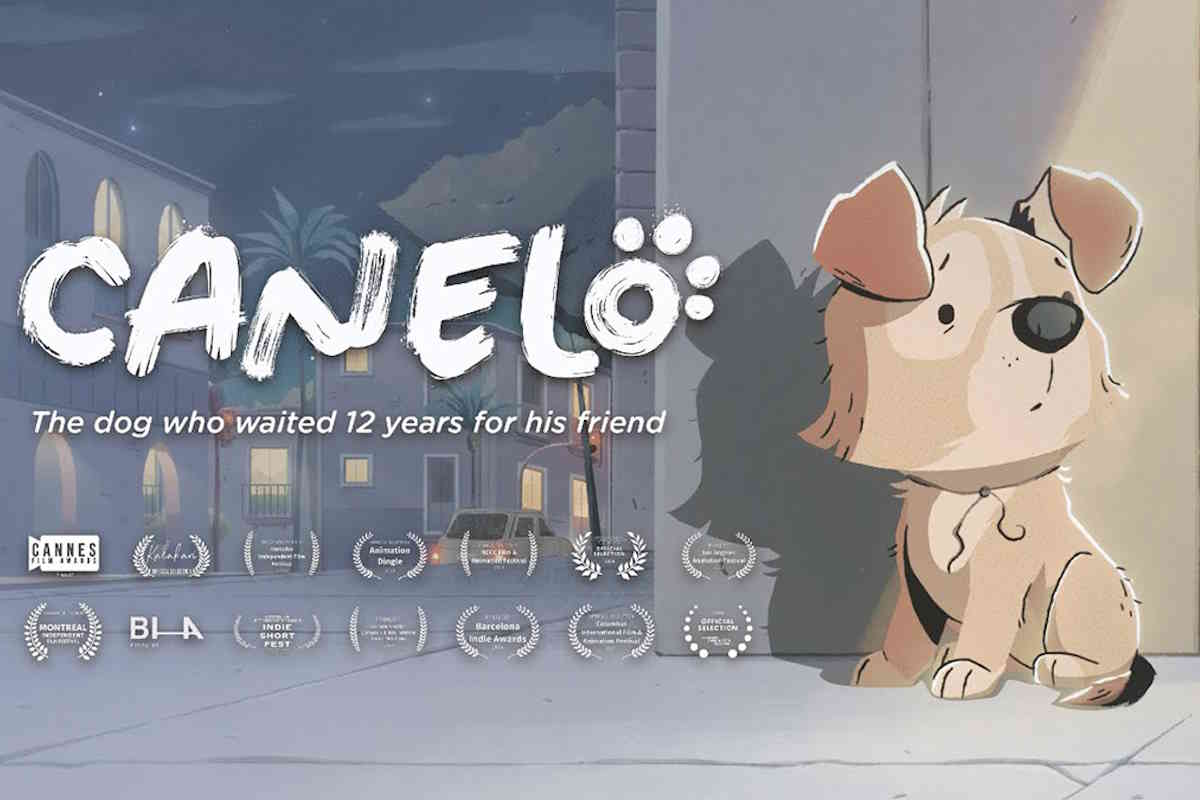 Short film Canelo