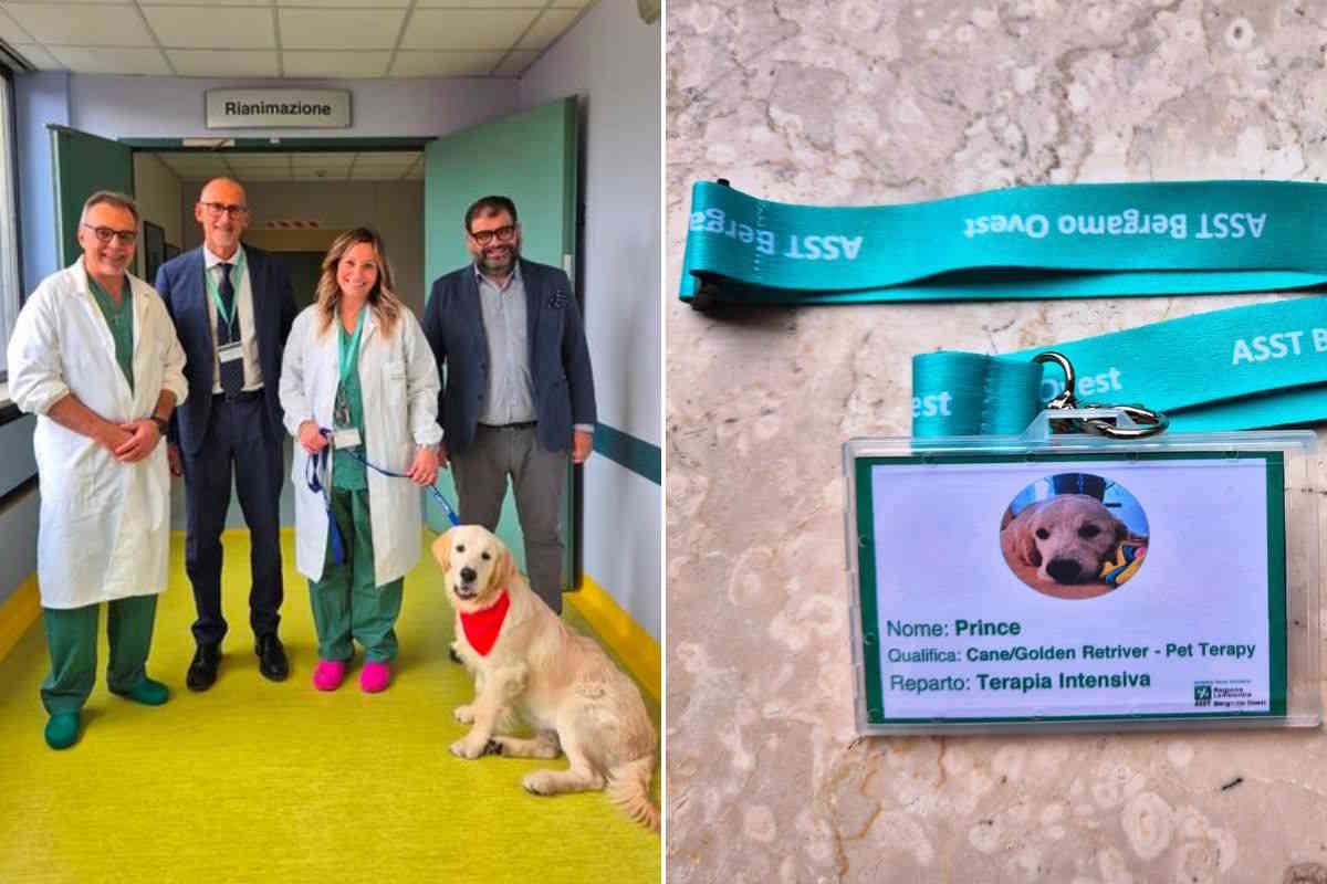 Dog teraphy - Hospital i Bergamo - Italy