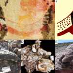 Rock art - exctinct animals