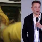 Test on animals - Elon Musk