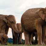 Life-size elephant sculptures