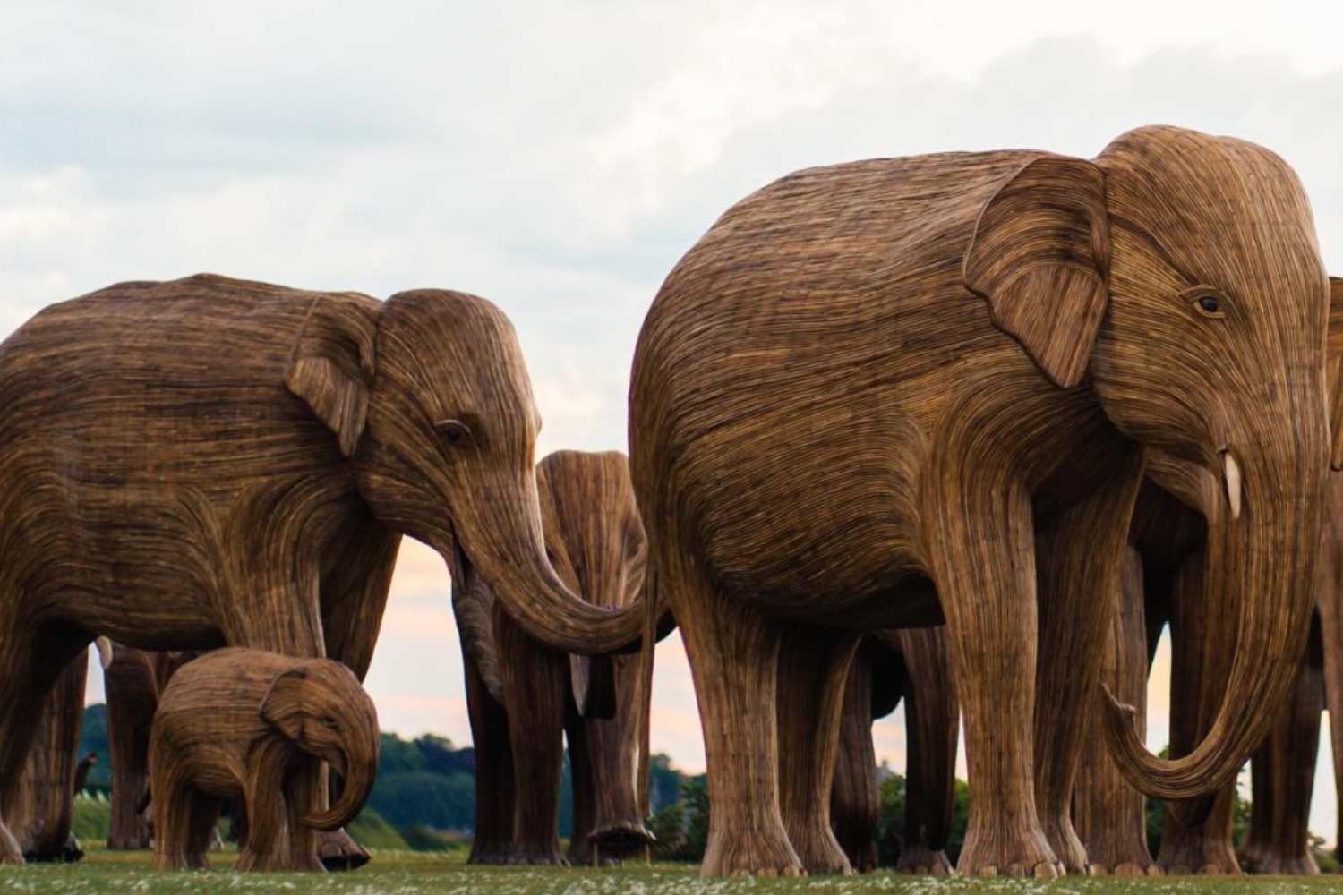 Life-size elephant sculptures