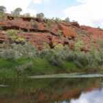 Oldest river on earth - The Finke river