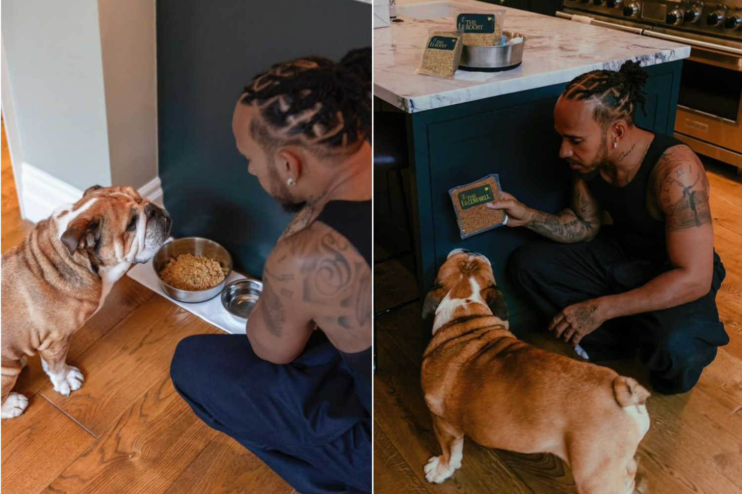 Hamilton feeding his dog