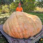 Travis Gienger triumphed for the second consecutive year at the Giant Pumpkin World Championship