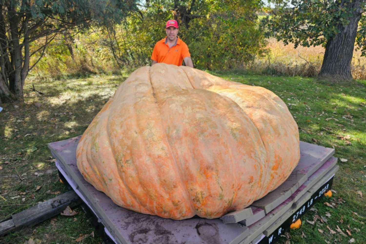 Travis Gienger triumphed for the second consecutive year at the Giant Pumpkin World Championship