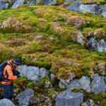 antarctica’s white landscape is turning green