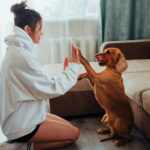 slower speech boosts communication with your dog