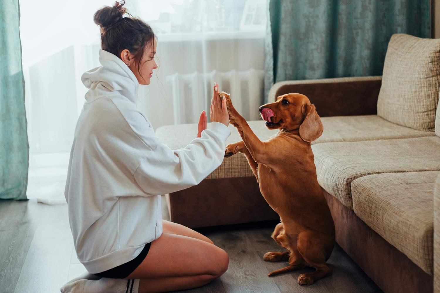 slower speech boosts communication with your dog