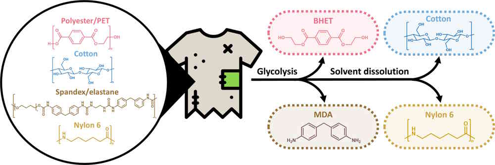 glycolysis 