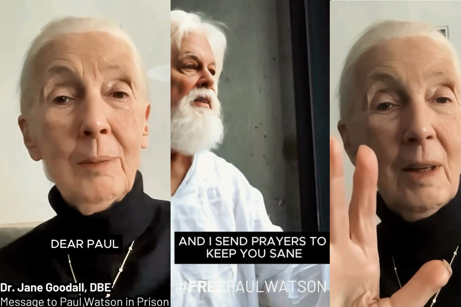 paul Watson and Jane Goodall