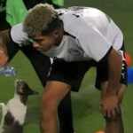 young aston villa player with a stray cat